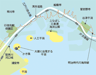 わずかに残る貴重な干潟の分布