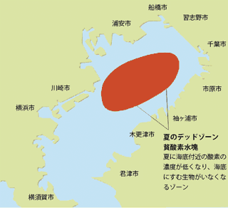 東京湾の貧酸素水域